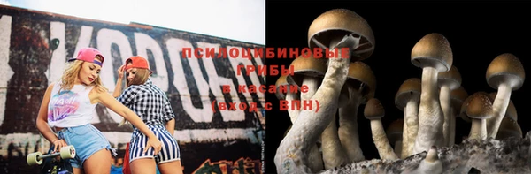 скорость Алексин