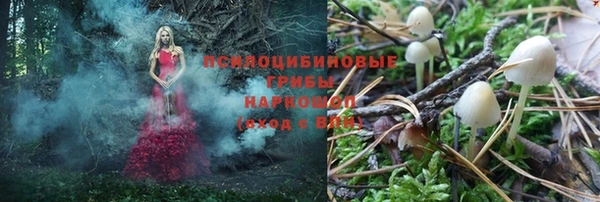 мефедрон Алексеевка