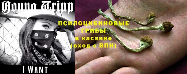 скорость Алексин