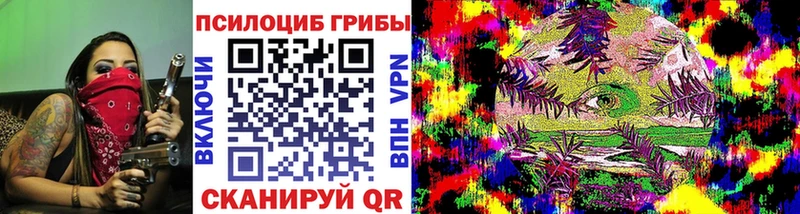 Галлюциногенные грибы Magic Shrooms  мориарти формула  Оса  закладка 